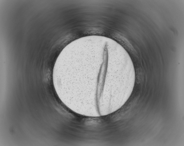 X0000111660077200908141323