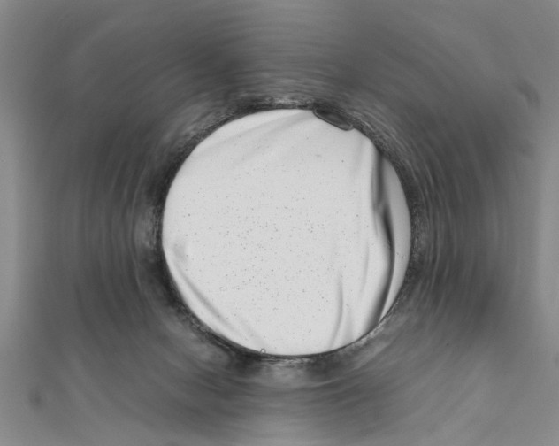 X0000111660078200908141323