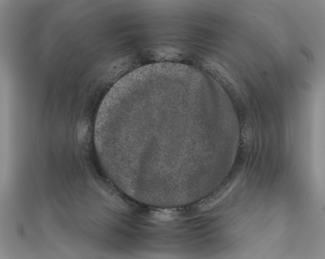 X0000111660079200908141323