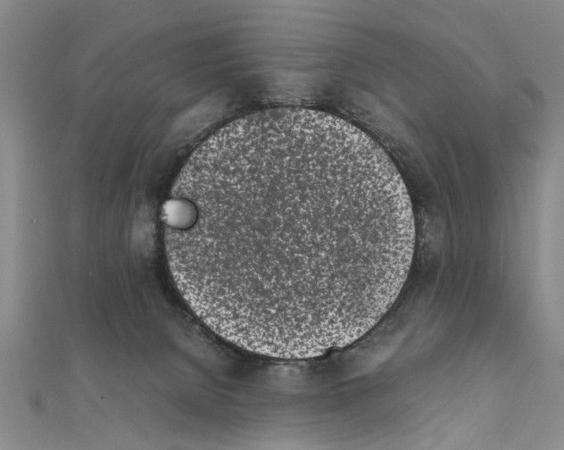 X0000111660080200908141323