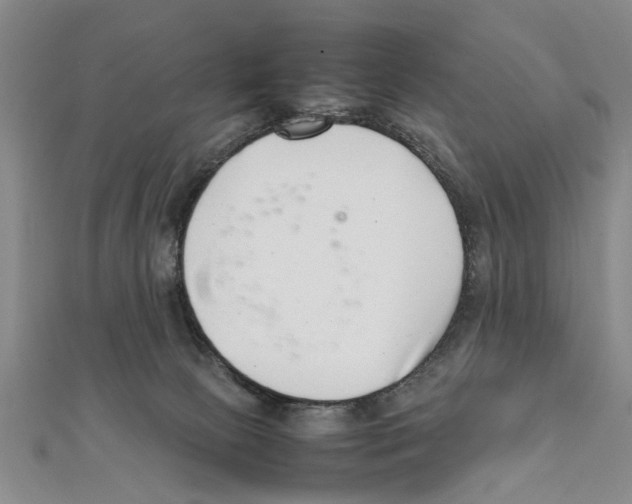 X0000111660081200908141323