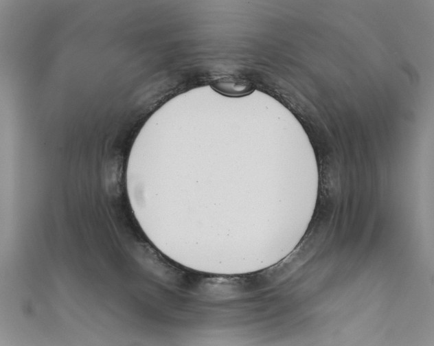 X0000111660082200908141323