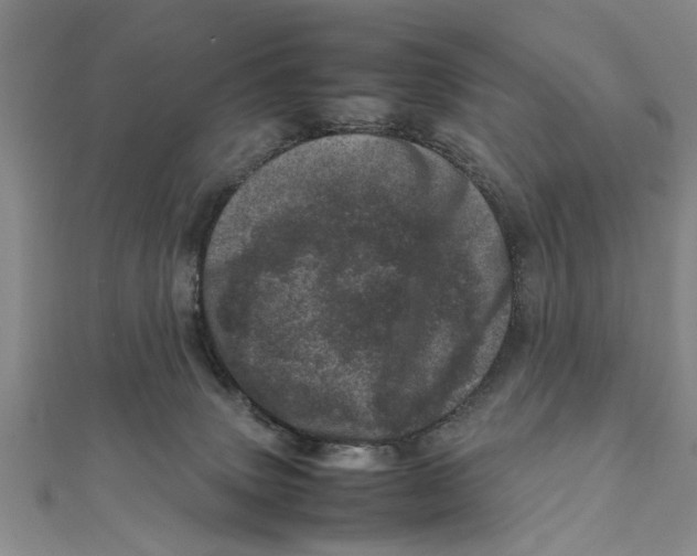 X0000111660083200908141323