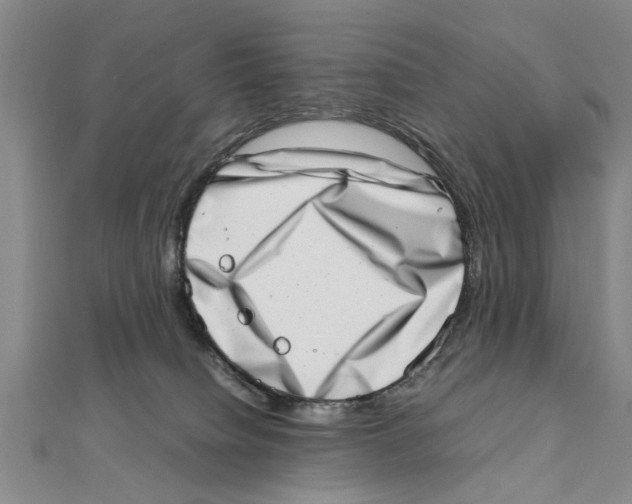 X0000111660084200908141323