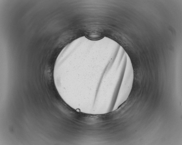 X0000111660086200908141323