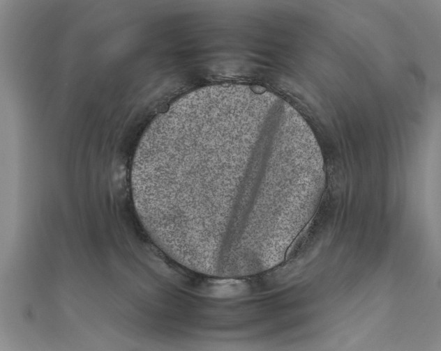 X0000111660087200908141323