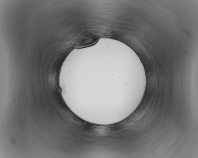 X0000111660088200908141323