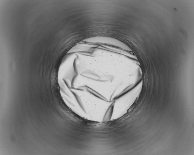 X0000111660092200908141323