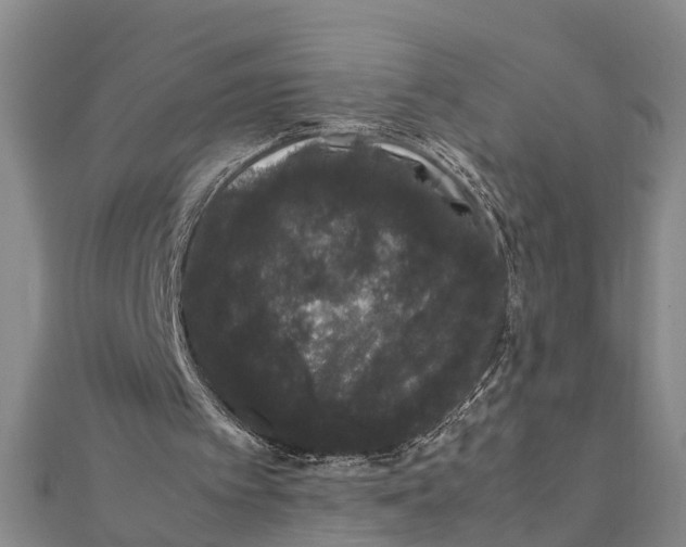 X0000111660097200908141322