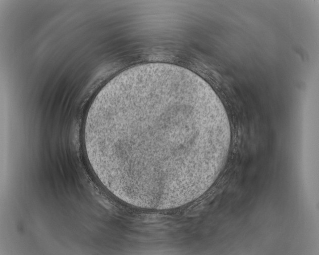 X0000111660098200908141322