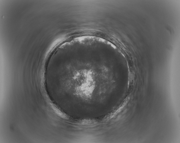 X0000111660101200908141322