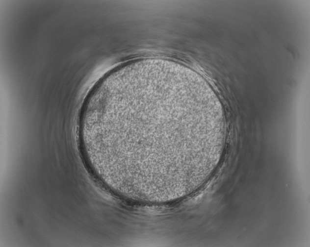 X0000111660103200908141322