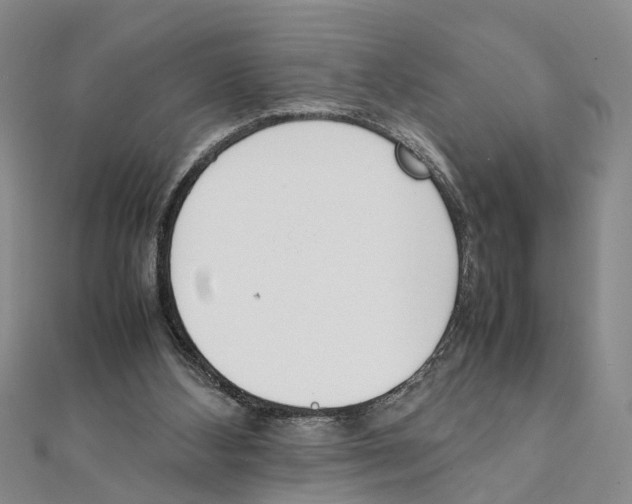 X0000111660108200908141322