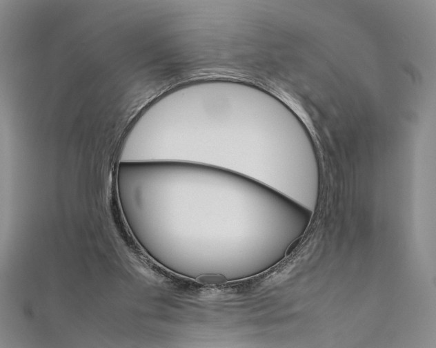 X0000111660109200908141322