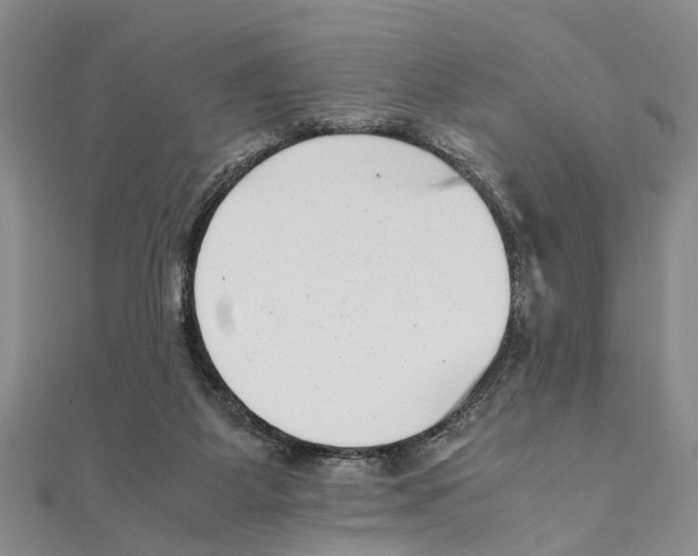 X0000111660115200908141322