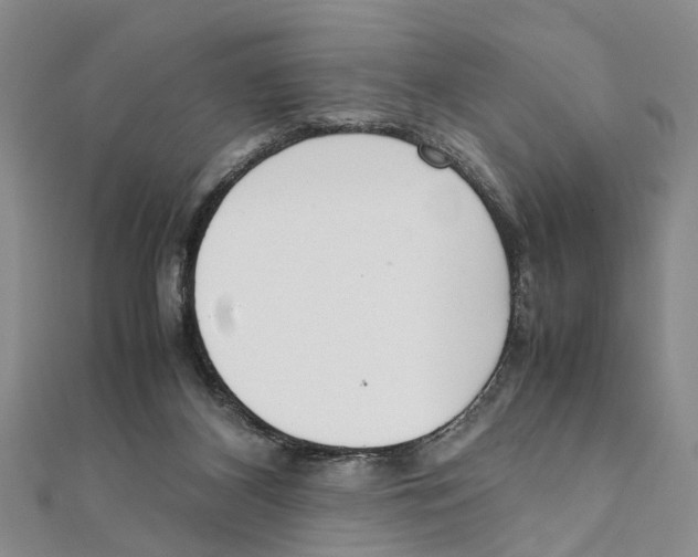 X0000111660116200908141322