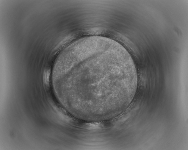 X0000111660118200908141322