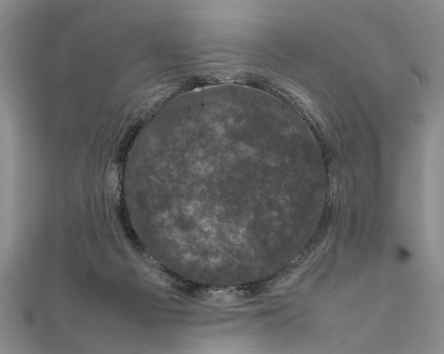 X0000111660121200908141322