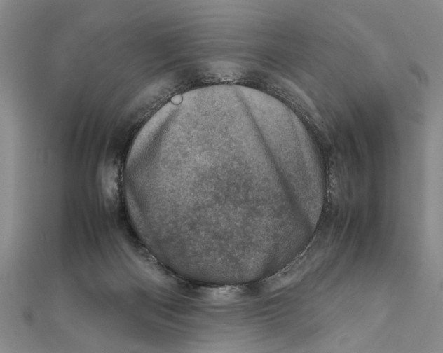 X0000111660122200908141322