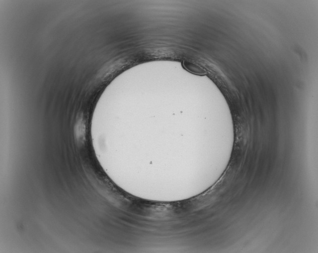 X0000111660124200908141322