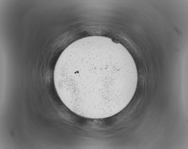 X0000111660125200908141322