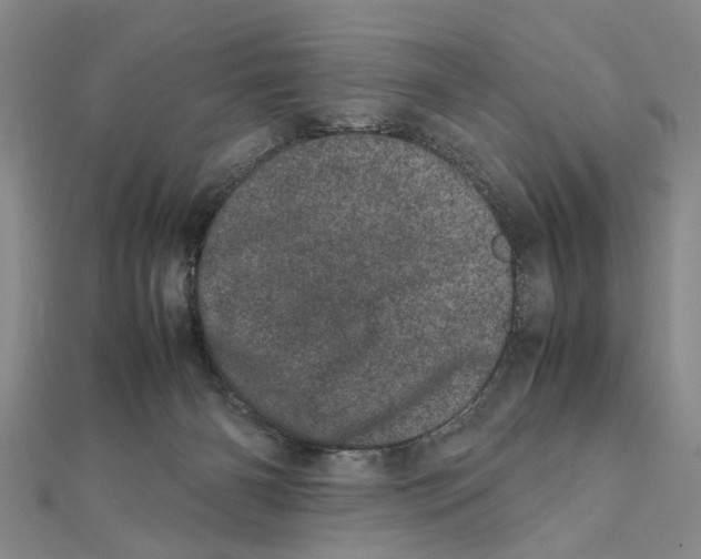 X0000111660126200908141322