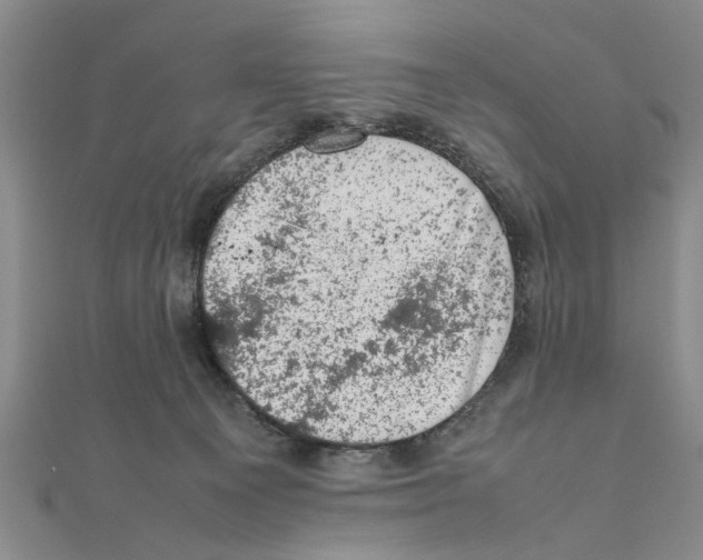 X0000111660129200908141322