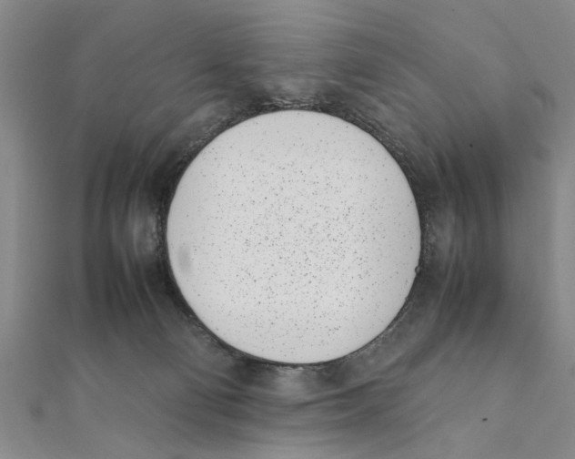 X0000111660130200908141322