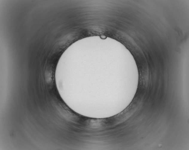 X0000111660134200908141322