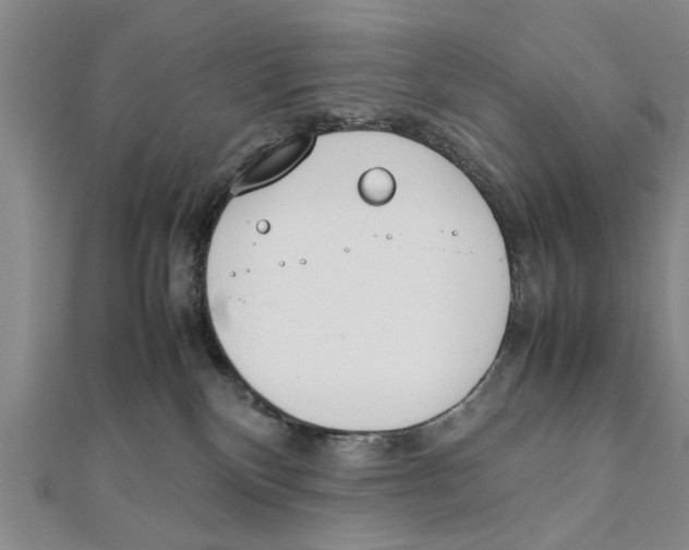 X0000111660136200908141322