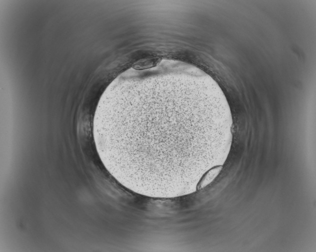 X0000111660137200908141322