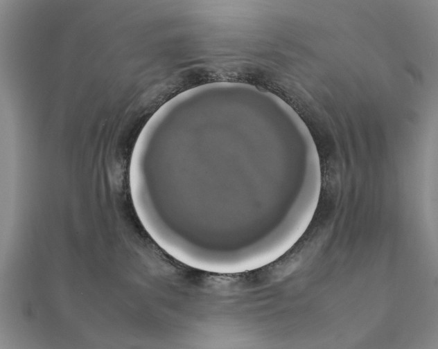 X0000111660139200908141322