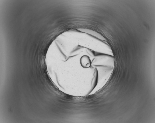 X0000111660141200908141322