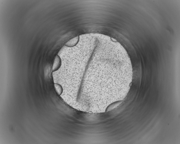 X0000111660142200908141322