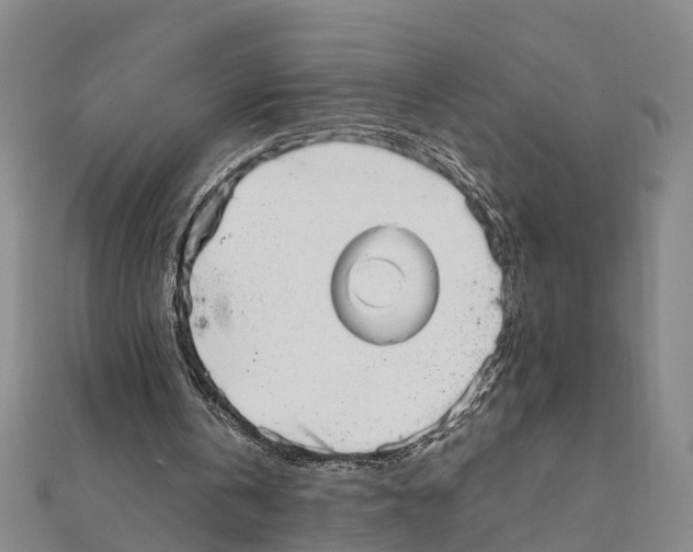 X0000111660146200908141321