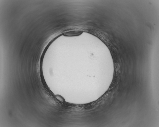 X0000111660148200908141321