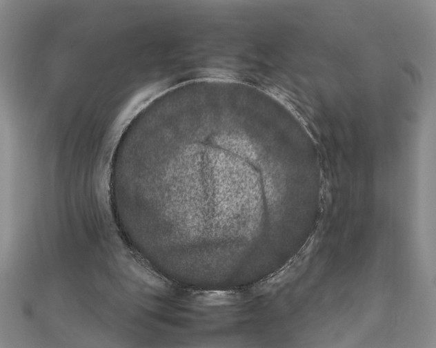 X0000111660151200908141321