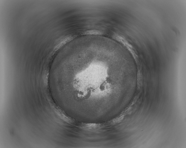 X0000111660153200908141321