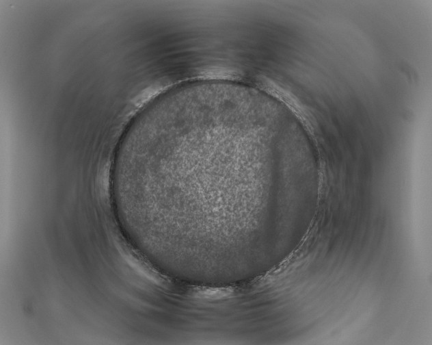 X0000111660155200908141321