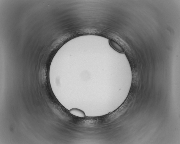 X0000111660158200908141321