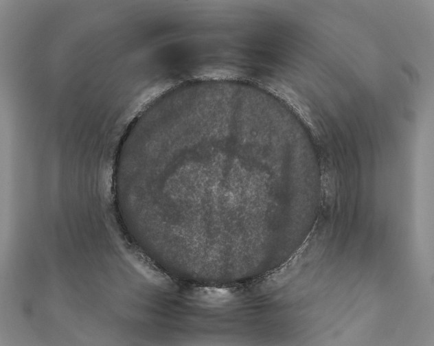 X0000111660159200908141321