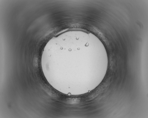 X0000111660161200908141321