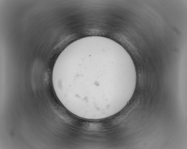 X0000111660165200908141321