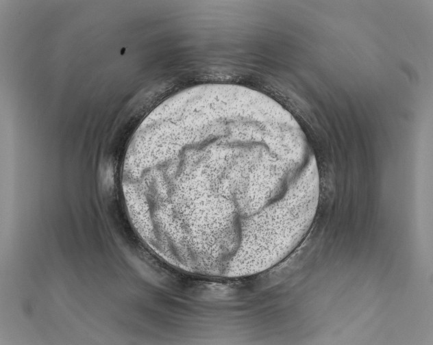 X0000111660166200908141321