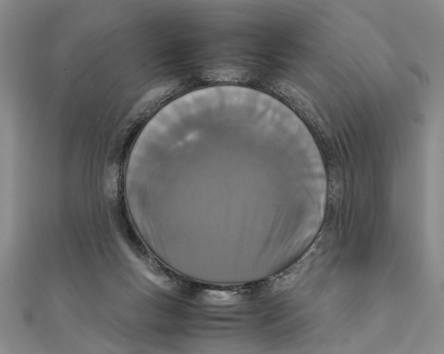 X0000111660167200908141321