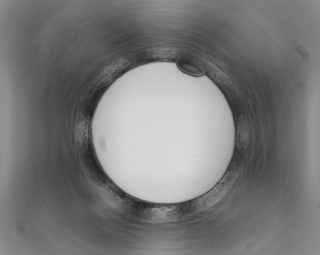 X0000111660172200908141321