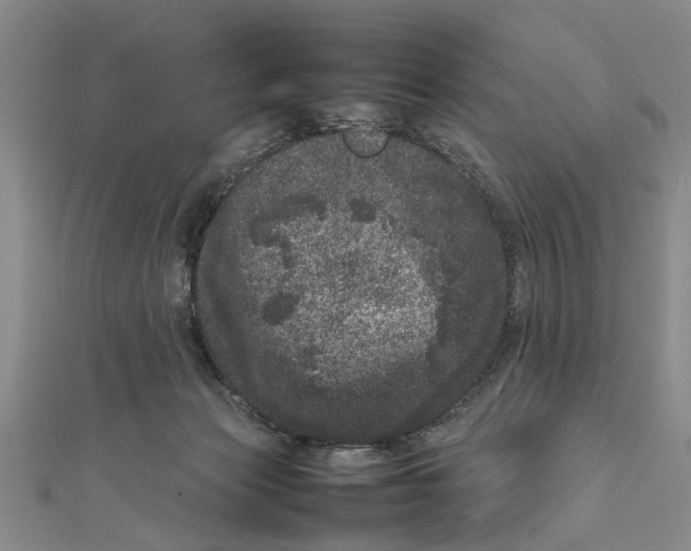 X0000111660173200908141321