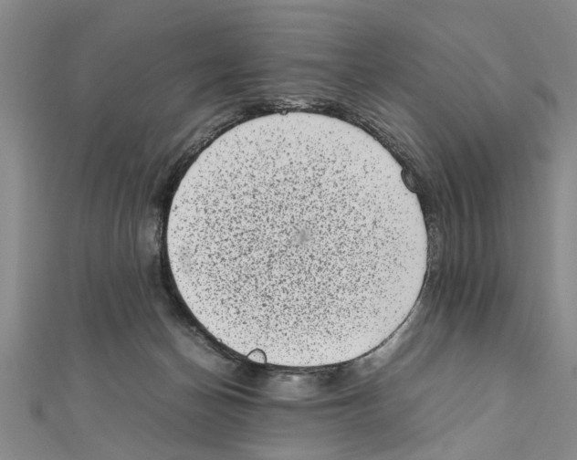 X0000111660174200908141321