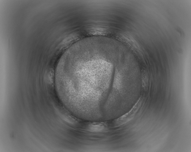 X0000111660175200908141321