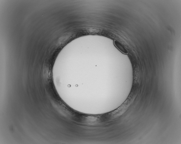 X0000111660176200908141321